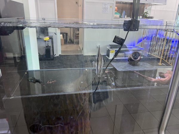 Aquarium Cafe - Photos