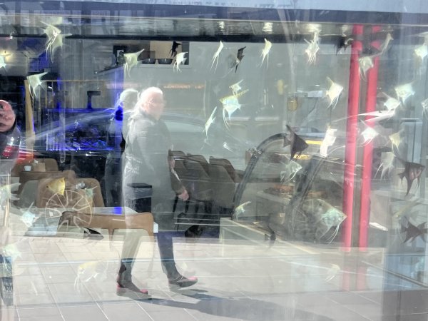 Aquarium Cafe - Photos