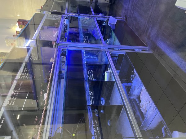 Aquarium Cafe - Photos