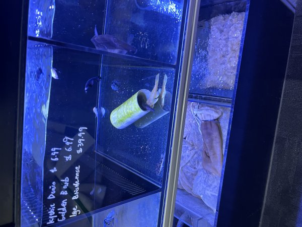 Aquarium Cafe - Photos