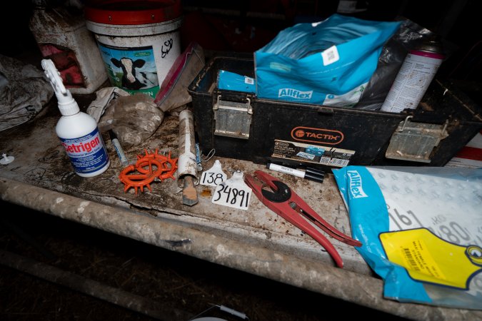 Ear-tagging equipment at a dairy farm