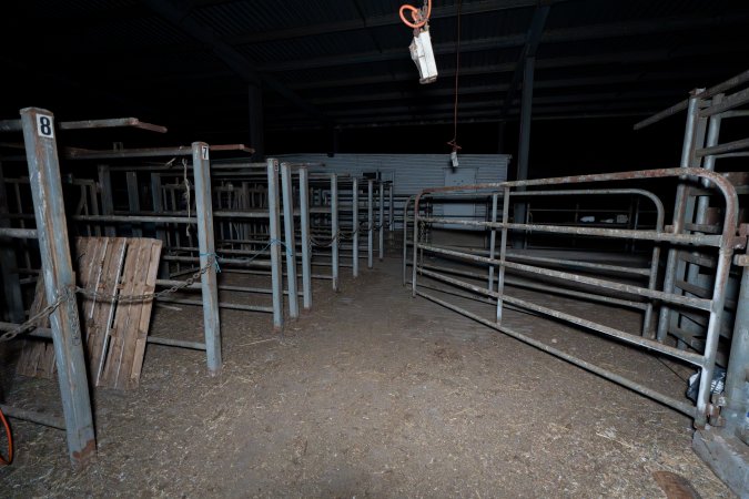 Empty stalls at a dairy farm