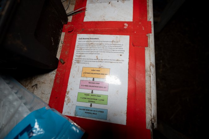 Calf rearing procedures at a dairy farm