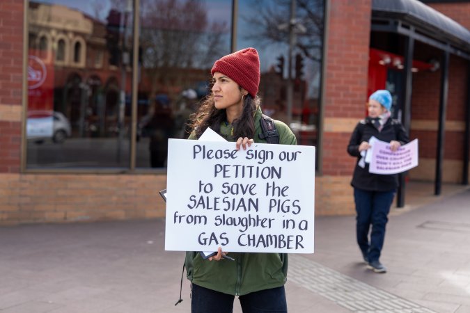 8 August 2026: Save The Salesian Pigs: Sunbury Outreach