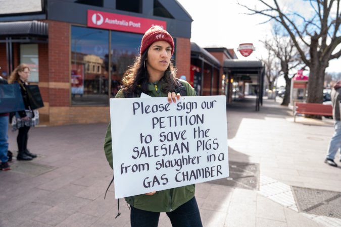 8 August 2026: Save The Salesian Pigs: Sunbury Outreach