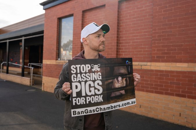 8 August 2026: Save The Salesian Pigs: Sunbury Outreach