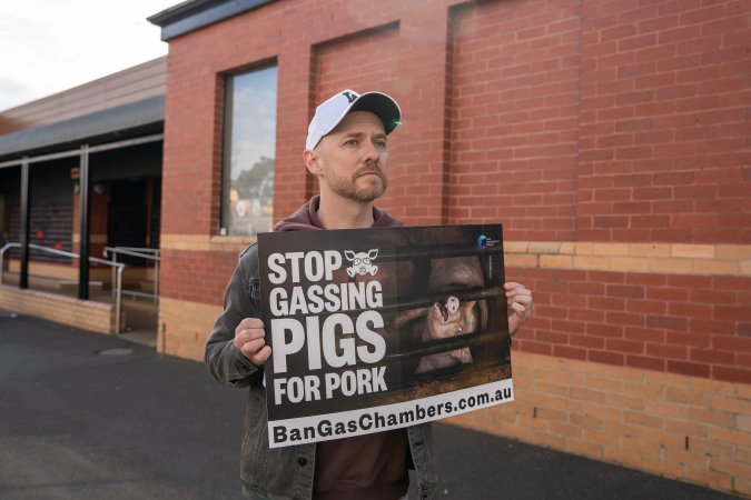 8 August 2026: Save The Salesian Pigs: Sunbury Outreach