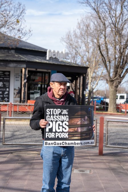 8 August 2026: Save The Salesian Pigs: Sunbury Outreach