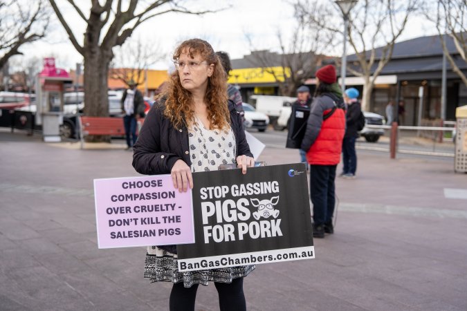 8 August 2026: Save The Salesian Pigs: Sunbury Outreach