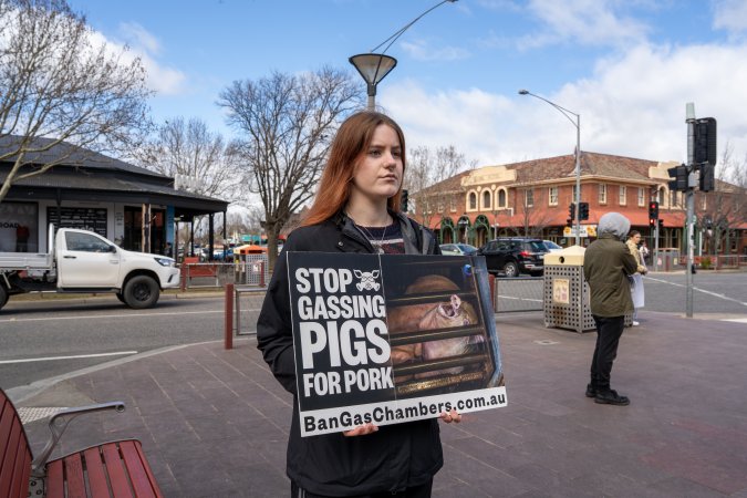 22 August 2026: Save The Salesian Pigs: Sunbury Outreach