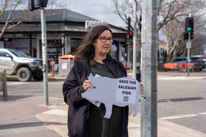 22 August 2026: Save The Salesian Pigs: Sunbury Outreach