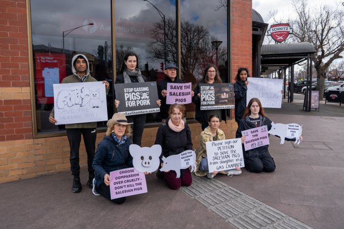 22 August 2026: Save The Salesian Pigs: Sunbury Outreach