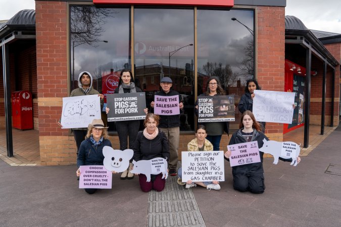 22 August 2026: Save The Salesian Pigs: Sunbury Outreach