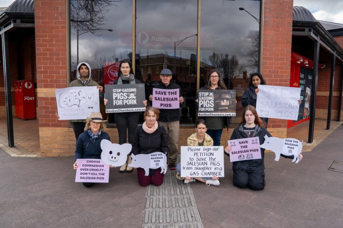 22 August 2026: Save The Salesian Pigs: Sunbury Outreach