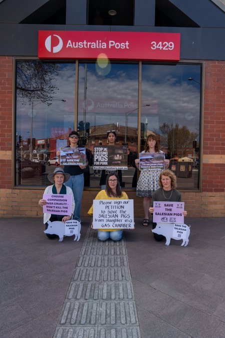 19 September 2026: Save The Salesian Pigs: Sunbury Outreach