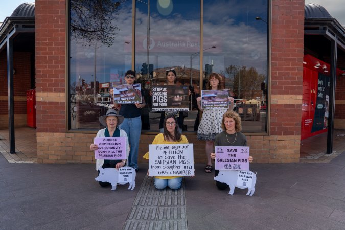 19 September 2026: Save The Salesian Pigs: Sunbury Outreach
