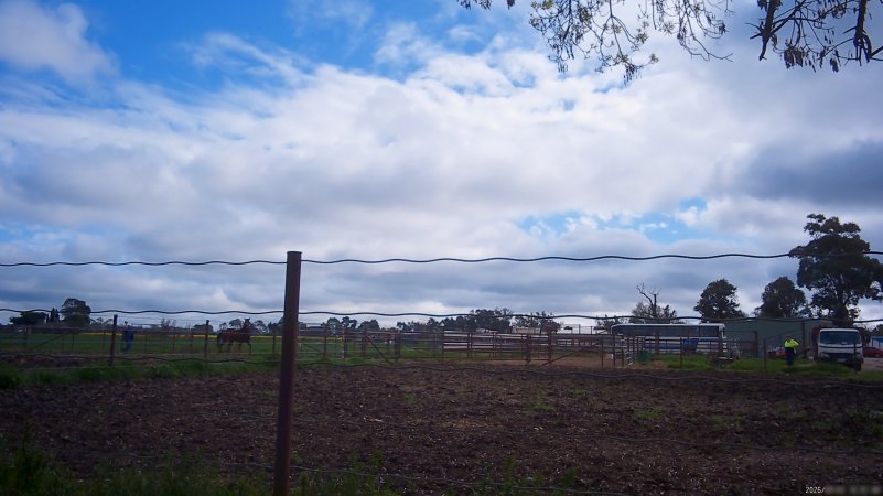 Horse yards and slaughter at residential property of Peter Loffel