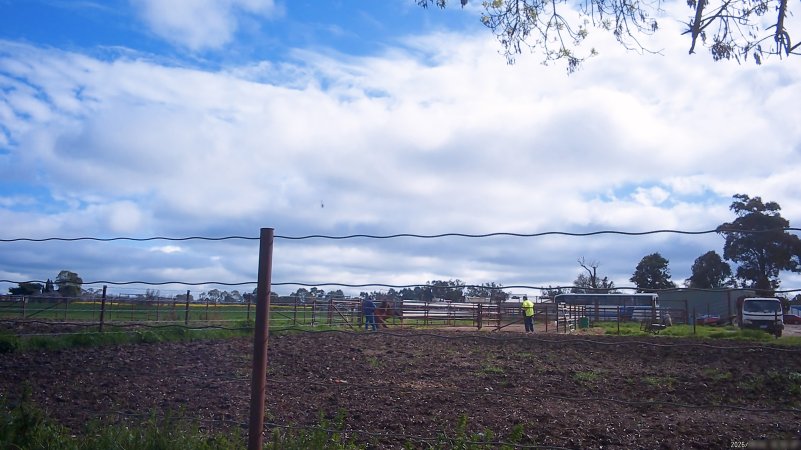 Horse yards and slaughter at residential property of Peter Loffel