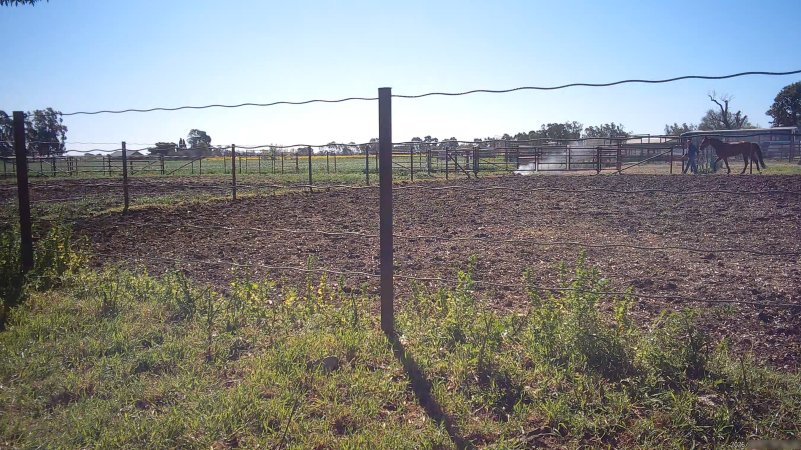 Horse yards and slaughter at residential property of Peter Loffel