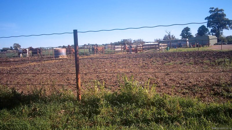 Horse yards and slaughter at residential property of Peter Loffel