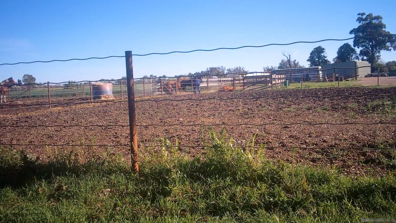 Horse yards and slaughter at residential property of Peter Loffel