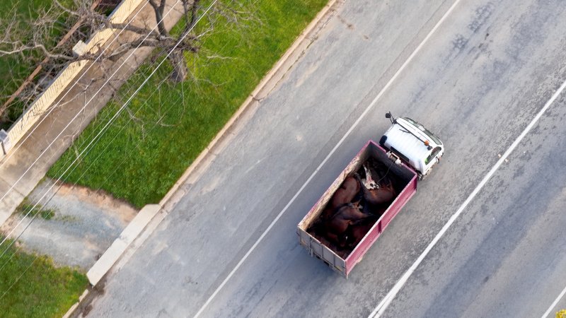 Knackery truck on road