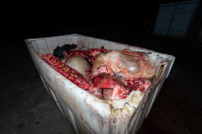 Offal bin