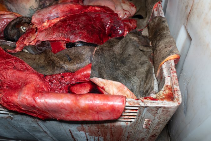 Offal bin with skin