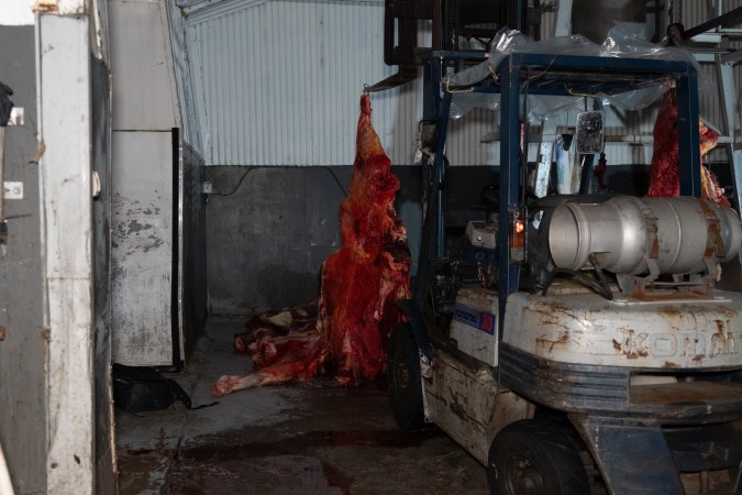 Processing room