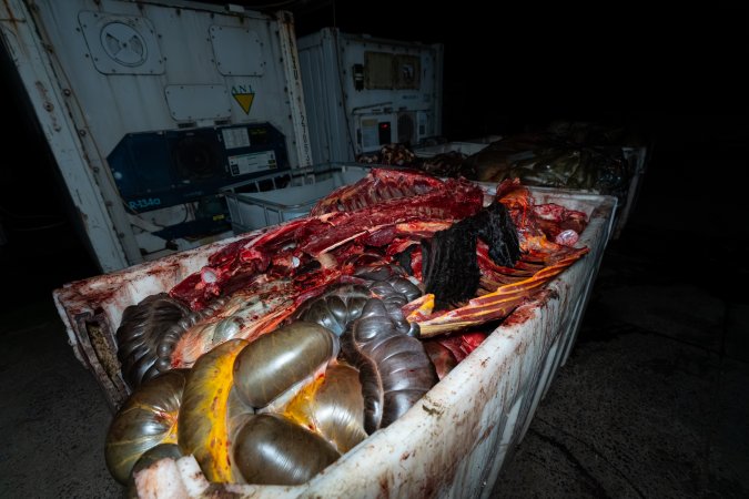 Offal bins