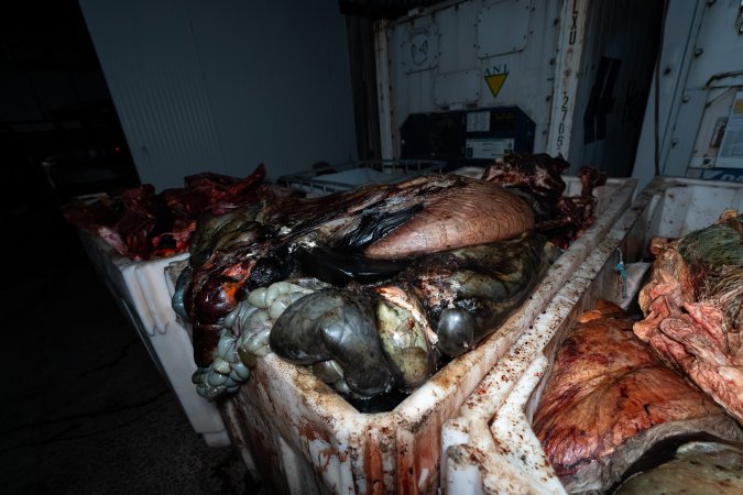 Offal bins