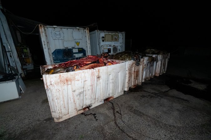 Offal bins
