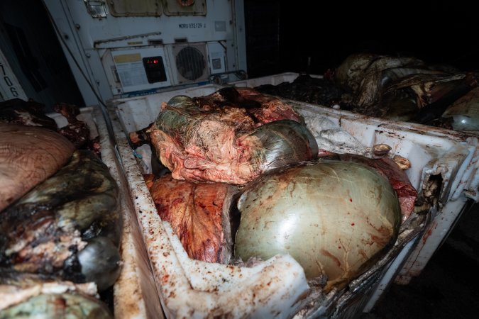 Offal bins