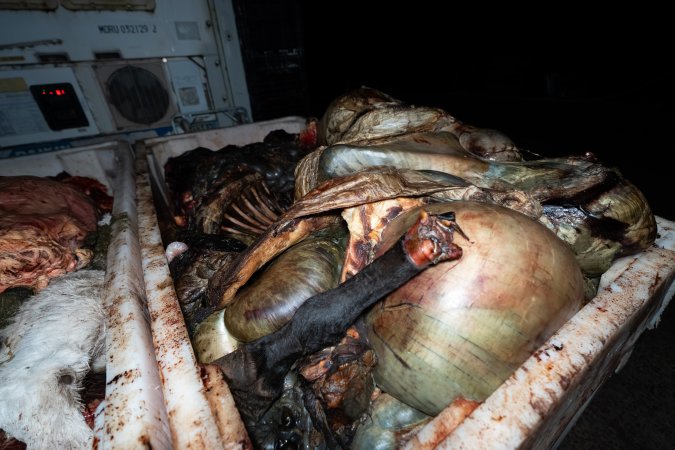 Offal bins