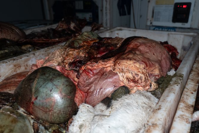 Offal bin