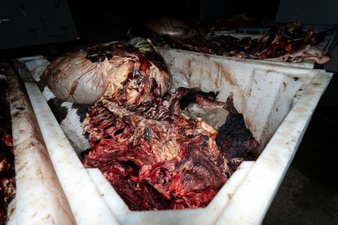 Offal bins