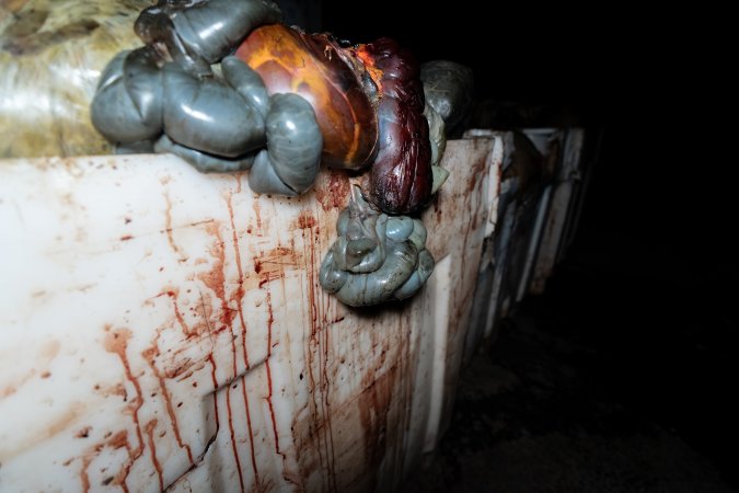 Offal bin