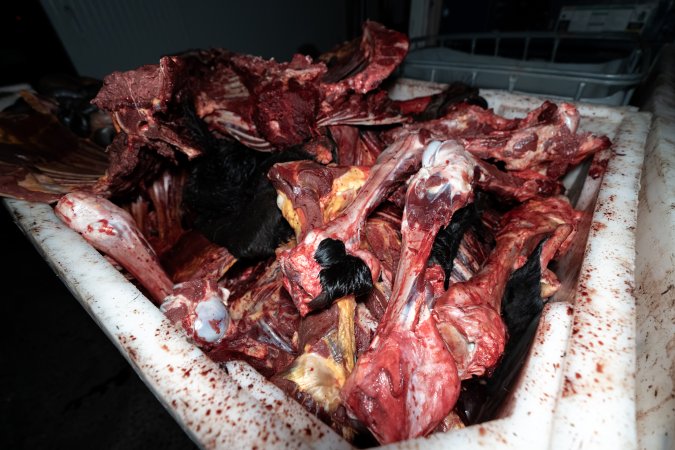Offal bin