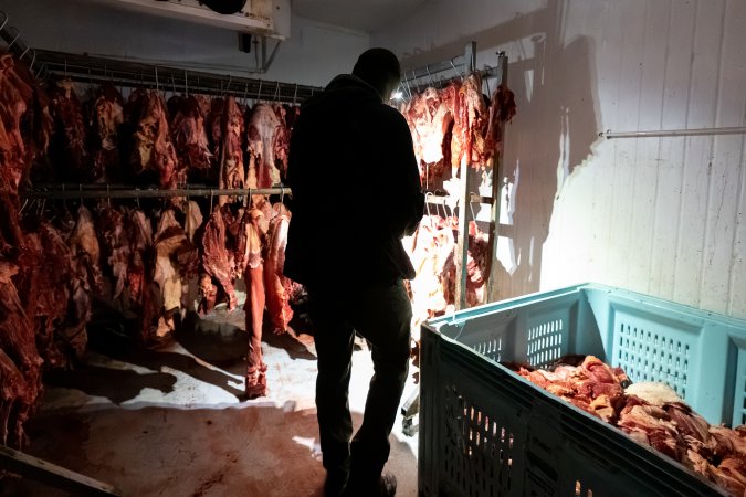 Investigator filming inside chiller