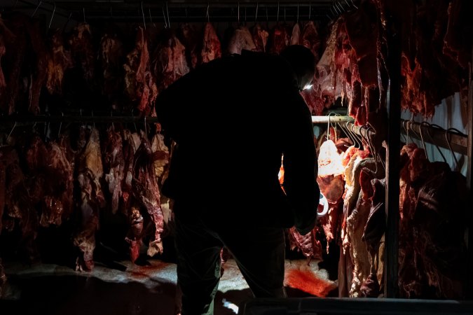 Investigator filming inside chiller