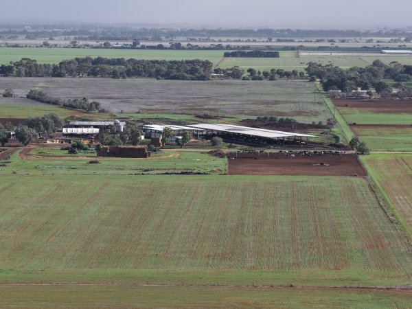Drone flyover of dairy farm