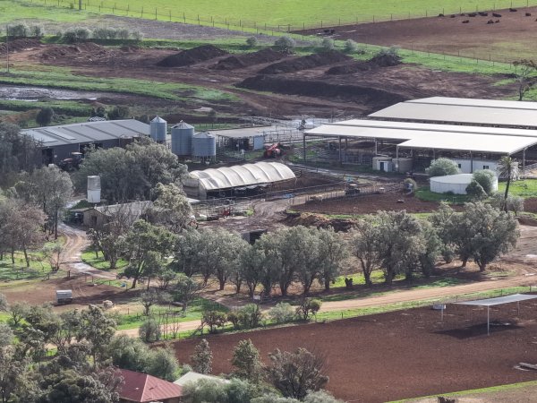 Drone flyover of dairy farm