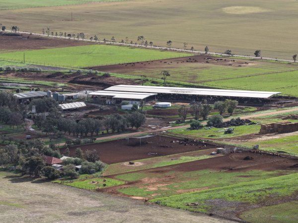 Drone flyover of dairy farm