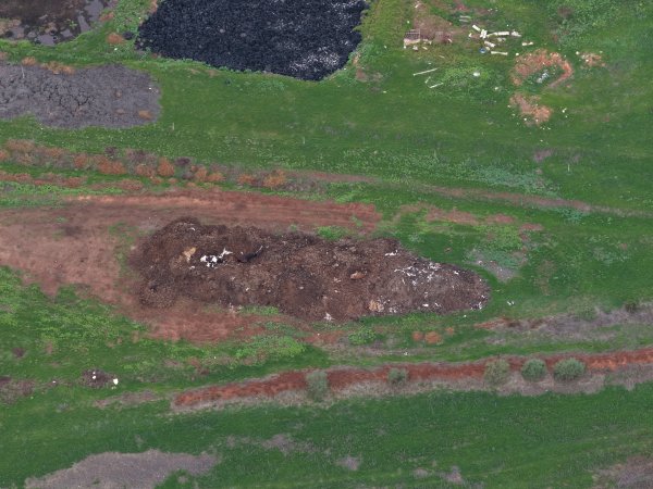 Drone flyover of dead pile at dairy farm