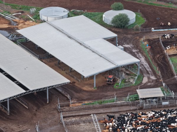 Drone flyover of dairy farm