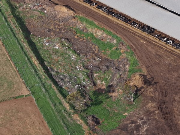 Drone flyover of old mass grave at dairy farm