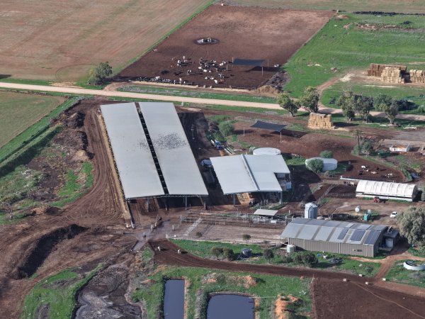 Drone flyover of dairy farm