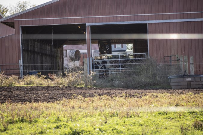 Middlebush Farms