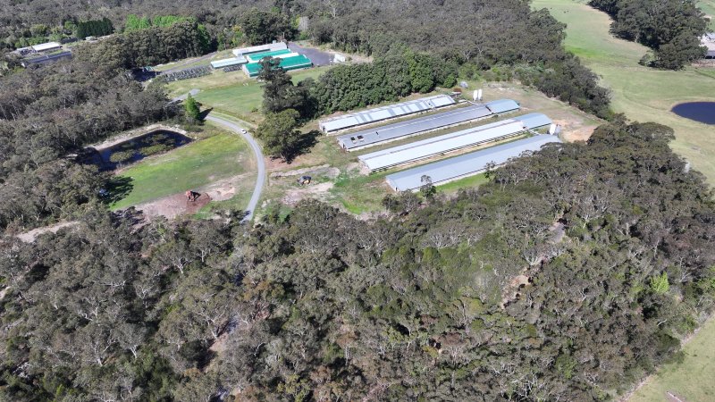 Mountain Pride Farms 2 - Drone