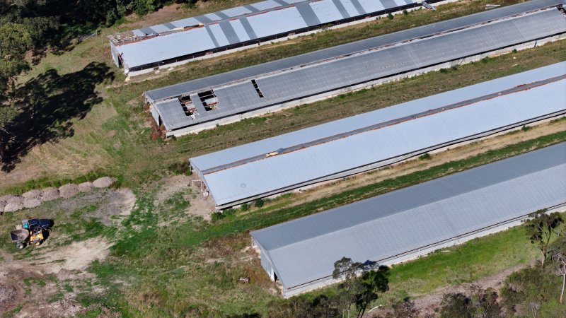Mountain Pride Farms 2 - Drone